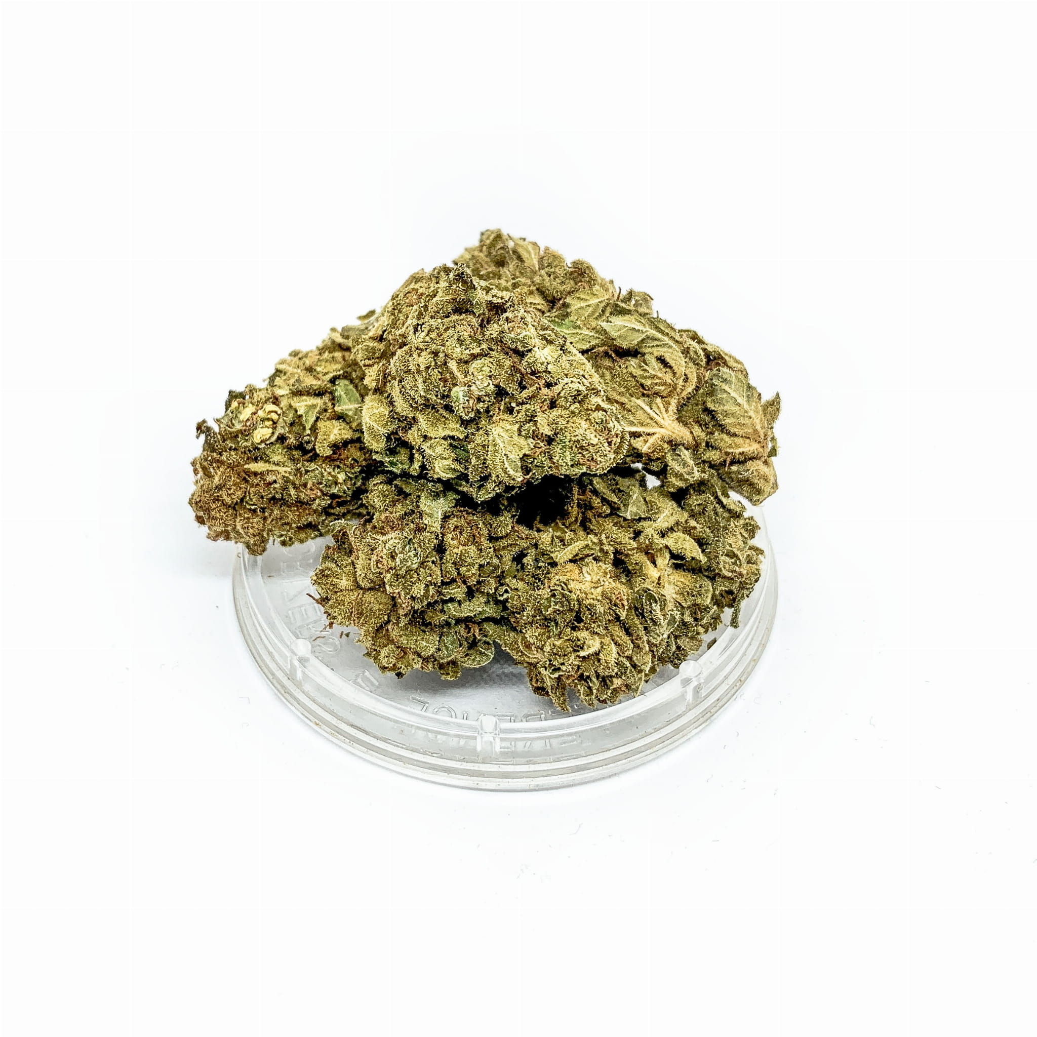 66f159ca7e08d363adaf568a3f748f9b