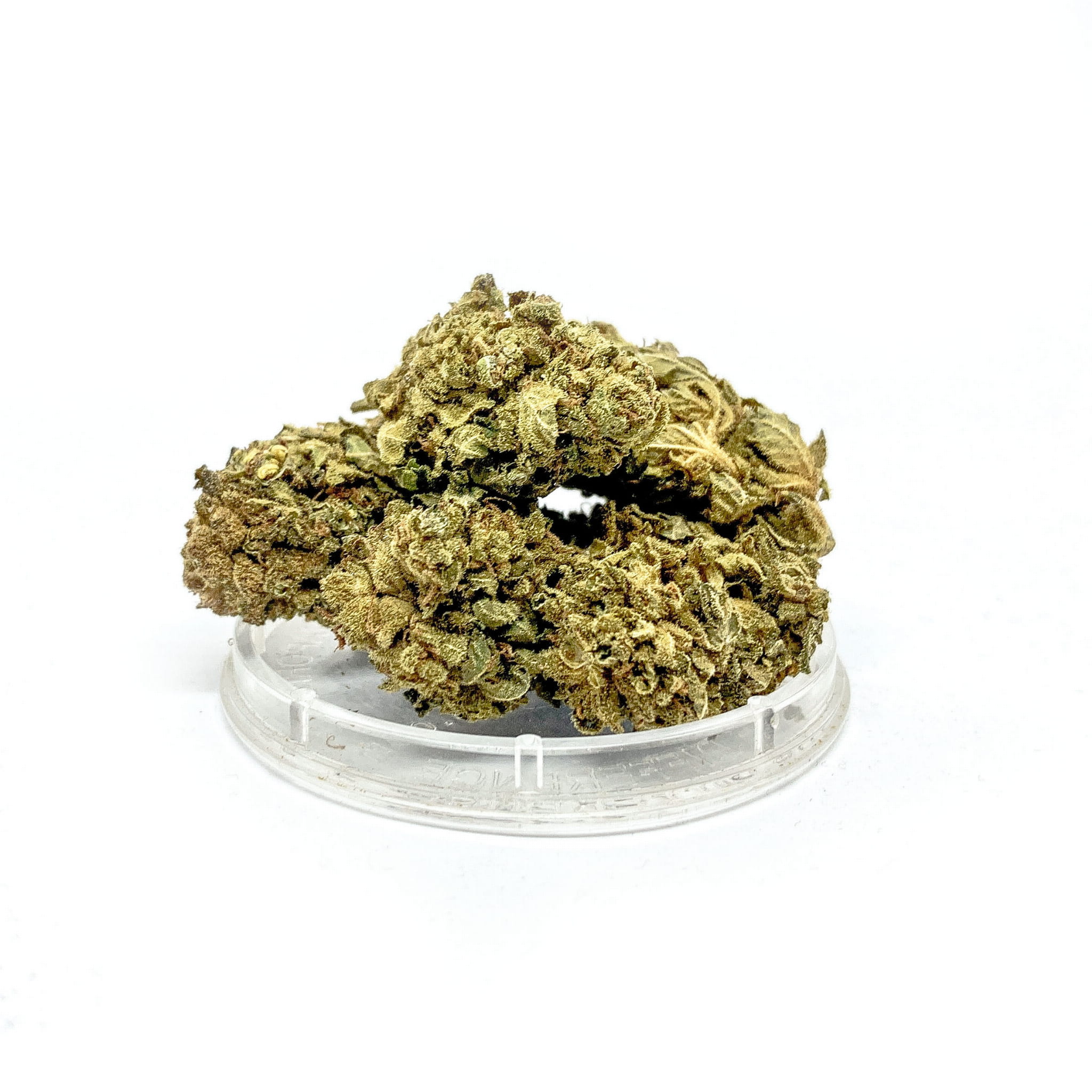 da1c576cdff37e25ceb7b4066ad6bff7